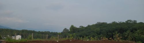 One acre of land for sale near Peringammala -Palode(Nedumangad route)